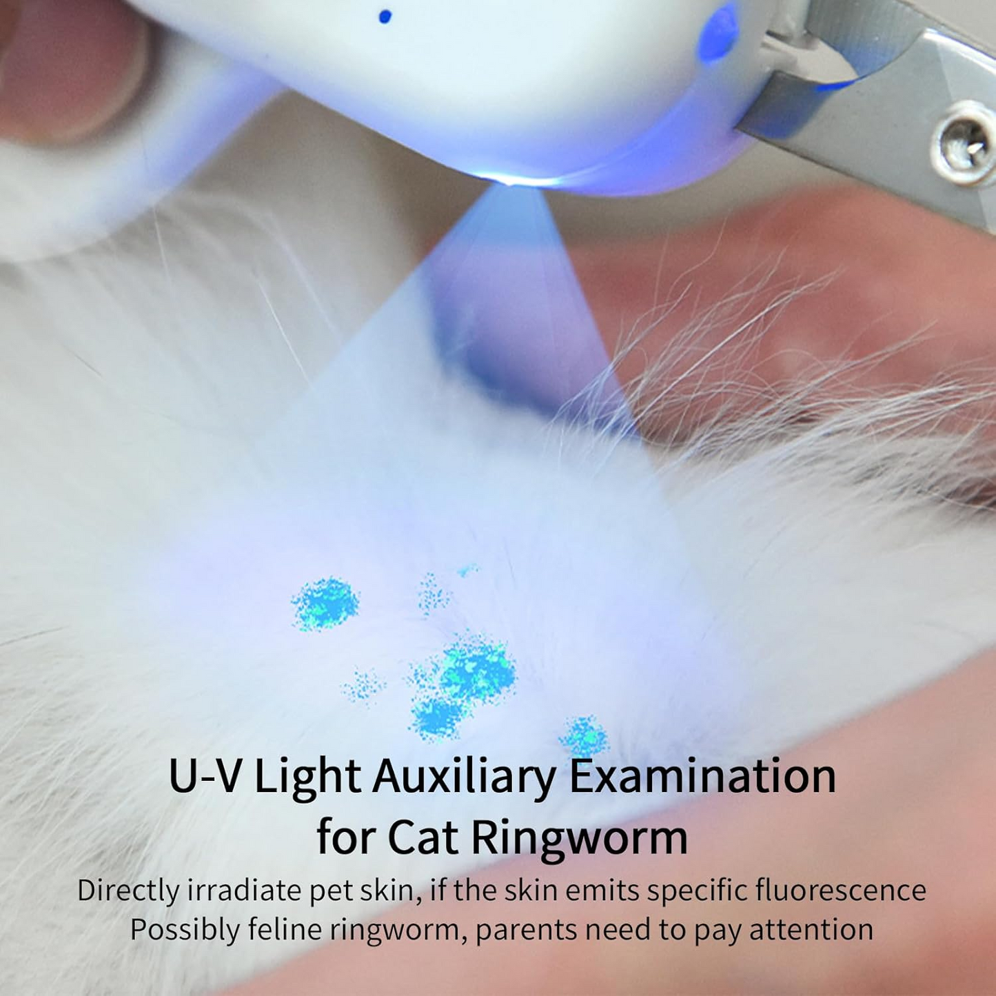 Pet Nail Clipper with LED & -U-V Light, Cat Claw Trimmer with Ultra Bright LED Light for Nail Bloodline to Avoid Over Cutting, Sharp Angled Blade Grooming Tool for Dog Cat Rabbit Small Animals