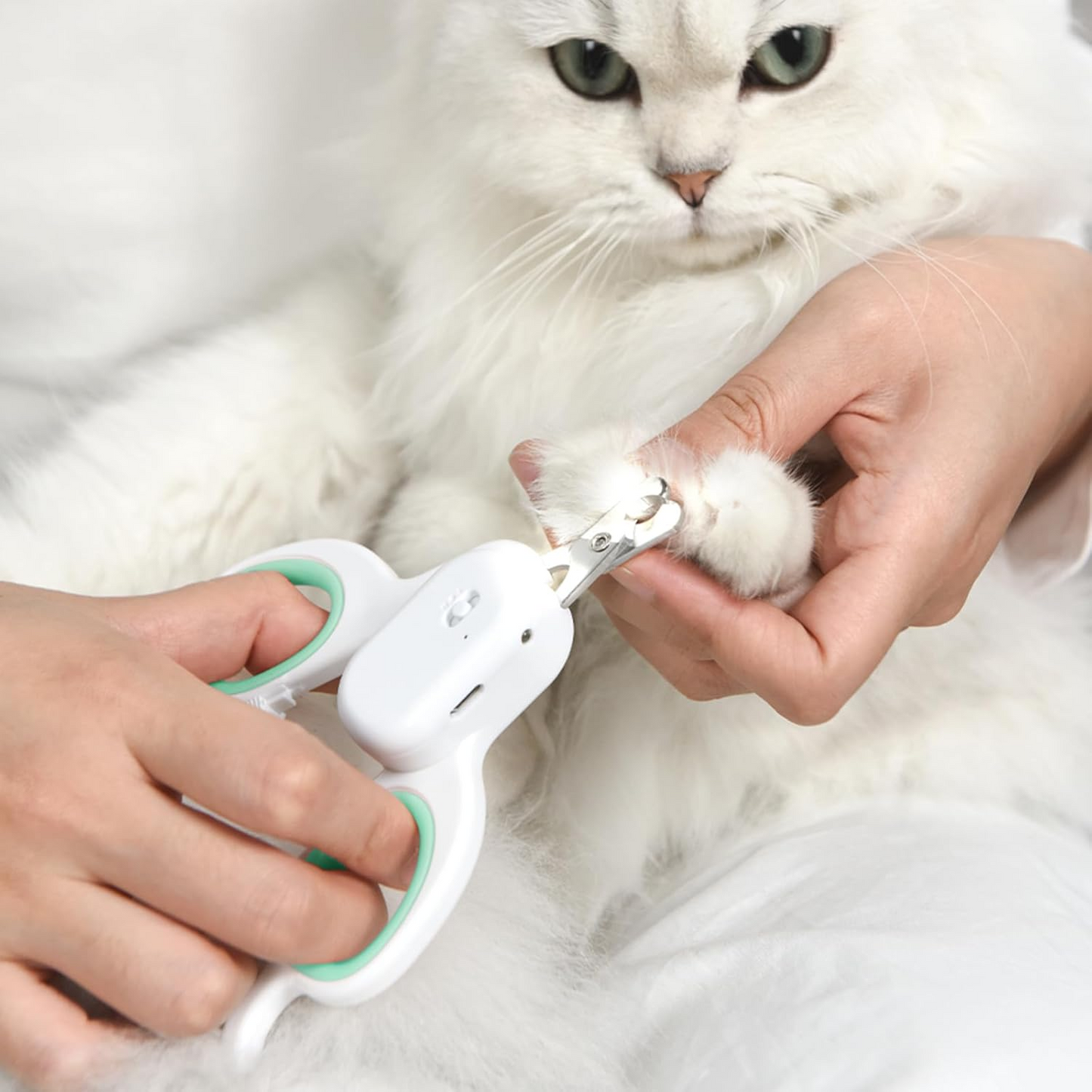 Pet Nail Clipper with LED & -U-V Light, Cat Claw Trimmer with Ultra Bright LED Light for Nail Bloodline to Avoid Over Cutting, Sharp Angled Blade Grooming Tool for Dog Cat Rabbit Small Animals