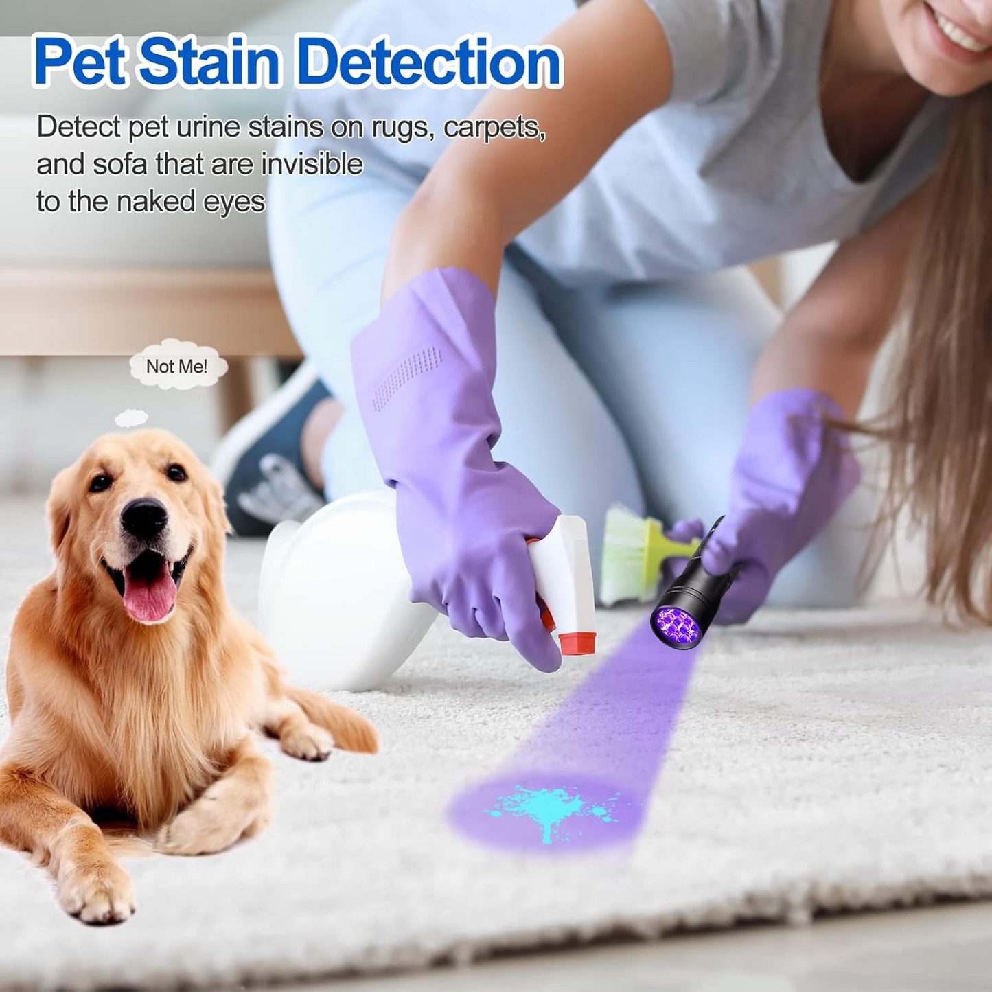 Black Light UV Flashlight Blacklight 12 LED Urine Detector for Dog/Cat/Pet Urine & Dry Stains and Bed Bug On Carpets/Rugs/Floor,Matching with Pet Odor Eliminator