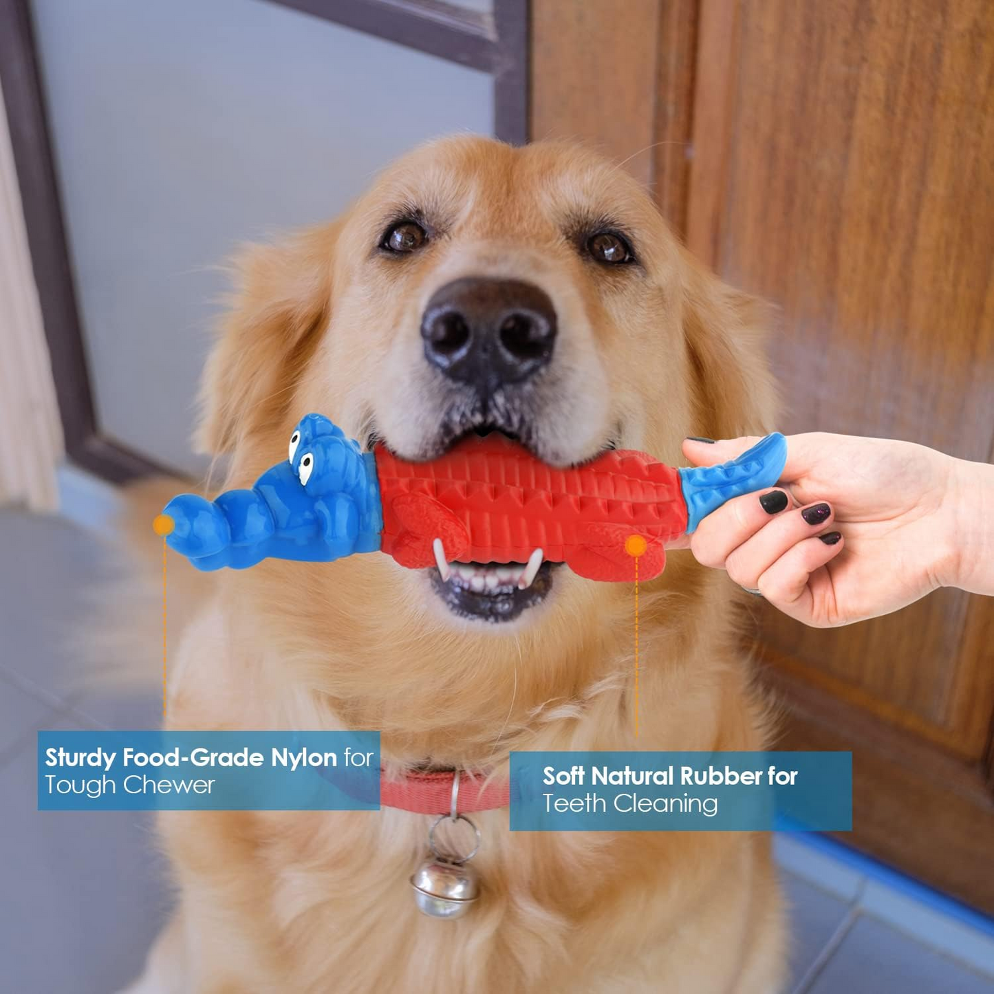 Petizer Indestructible Dog Toys - Non Squeak, Aggressive Chewer Toys for Small/Medium/Large Dogs, Red and Blue Alligator