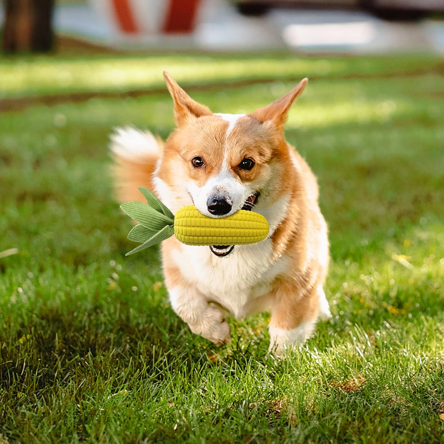 Dog Toys for Aggressive Chewers, Indestructible Tough Dog Toys for Large Dogs, Squeaky Dog Toys to Keep Them Busy, Interactive Dog Chew Toys for Small Medium Large Breed Dogs